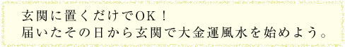 玄関に置くだけでOK！届いたその日から玄関で大金運風水を始めよう。